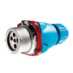 DN1 Вилка 24V 30A IP54 фазы- 2P+E